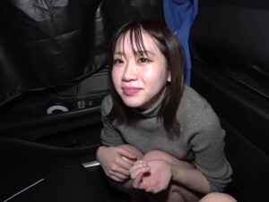 無修正FC2 PPV 2653290 -C【奇跡の美少女がゴックンした！！】夜間ドライブ後深夜12時！！車内で行われた美少女の濃厚フェラからの大量射精