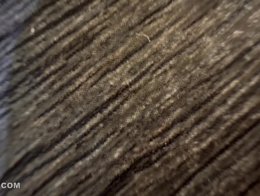 無修正FC2 PPV 4808988 【無】極小・純白ランジェリー天使！！天性のアイドルフェイス×超敏感体質！！止まらない連鎖絶頂…理性ごとイキ